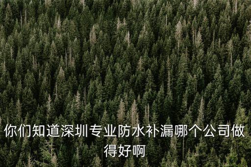 你們知道深圳專業防水補漏哪個公司做得好啊