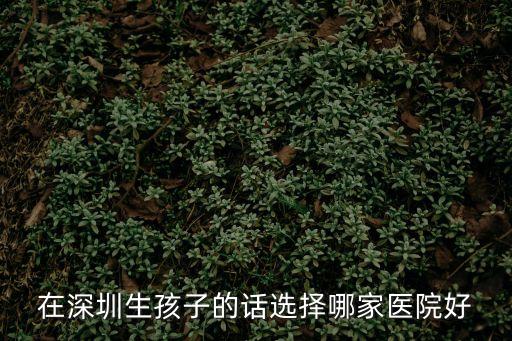在深圳生孩子的話選擇哪家醫院好