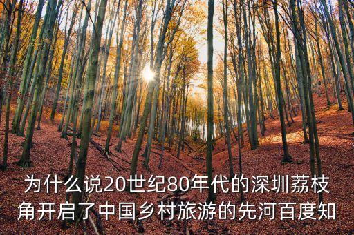 深圳荔枝海報，深圳有什么特產