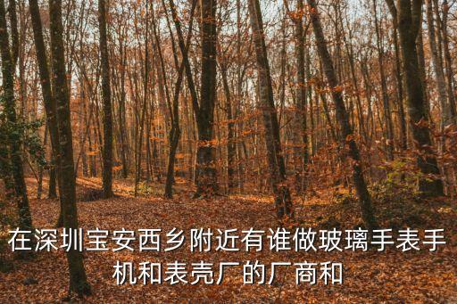 在深圳寶安西鄉附近有誰做玻璃手表手機和表殼廠的廠商和