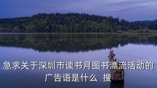 急求關于深圳市讀書月圖書漂流活動的廣告語是什么  搜