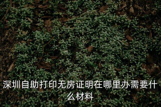 打印無房產證明在哪里 深圳，深圳自助打印無房證明在哪里辦需要什么材料