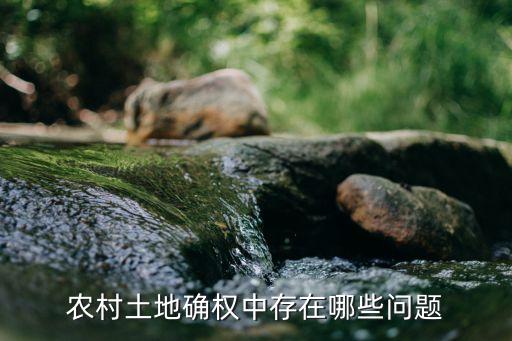 農村土地確權中存在哪些問題