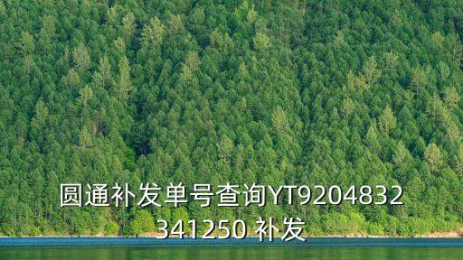 圓通補發單號查詢YT9204832341250 補發