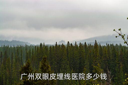 廣州雙眼皮埋線醫(yī)院多少錢