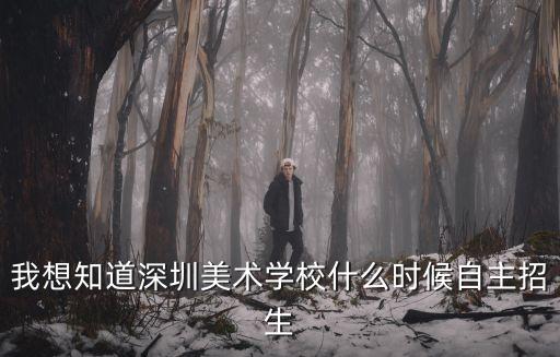 我想知道深圳美術學校什么時候自主招生