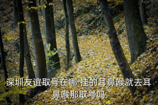 深圳打呼嚕給力友誼，深圳治療耳鼻喉深圳友誼醫(yī)院好嗎