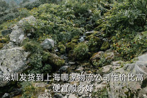 包機(jī)深圳到上海，朋友有航空包機(jī)資源 能做不 請教各位