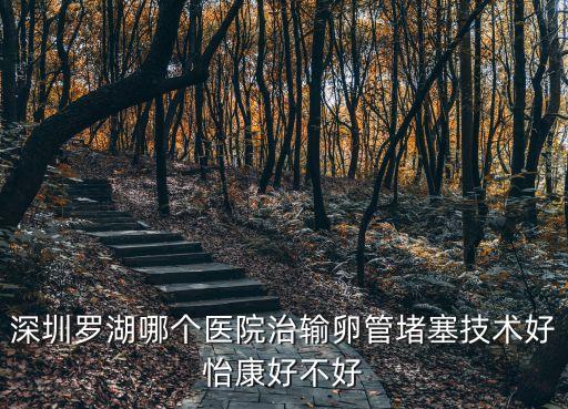 深圳做輸卵管要問深圳怡康，深圳羅湖哪個醫院治輸卵管堵塞技術好怡康好不好
