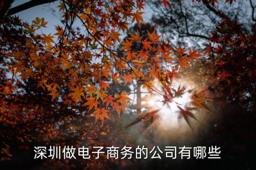 深圳做電子商務的公司有哪些
