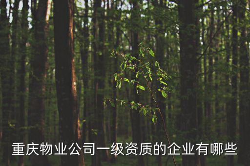 重慶物業公司一級資質的企業有哪些