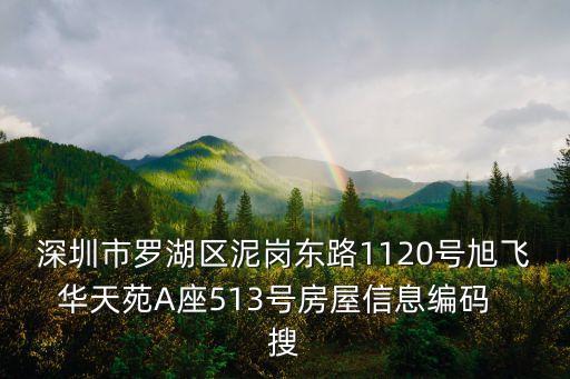 深圳市羅湖區泥崗東路1120號旭飛華天苑A座513號房屋信息編碼  搜