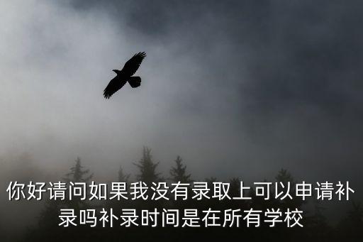 你好請問如果我沒有錄取上可以申請補錄嗎補錄時間是在所有學校