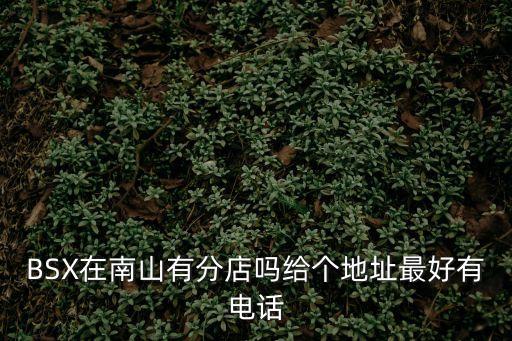 BSX在南山有分店嗎給個地址最好有電話