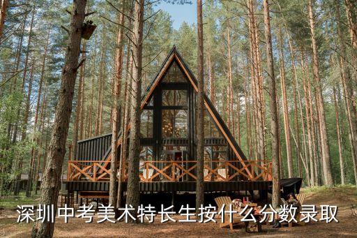 深圳中考美術特長生按什么分數(shù)錄取