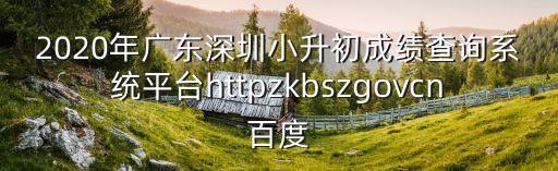 2020年廣東深圳小升初成績查詢系統平臺httpzkbszgovcn百度