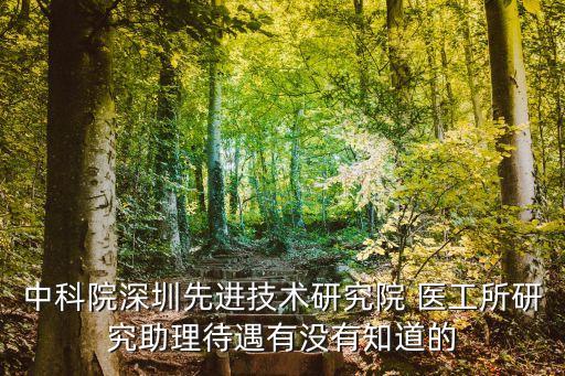 深圳先進技術研究院研究生補貼，中科院深圳先進技術研究院 醫工所研究助理待遇有沒有知道的
