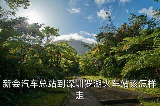 從新會車站到深圳羅湖，新會新車站到深圳羅湖有車嗎幾點新會車站是不是有個手機網站