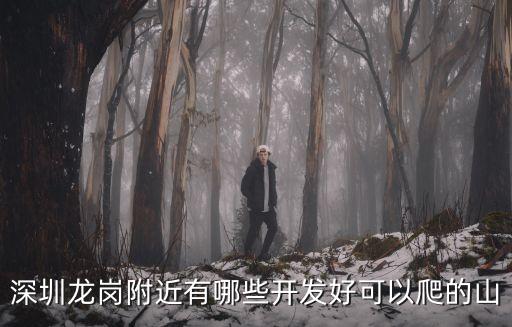 深圳龍崗新龍山規(guī)劃，現(xiàn)在龍崗未來十年的開發(fā)是怎么樣的