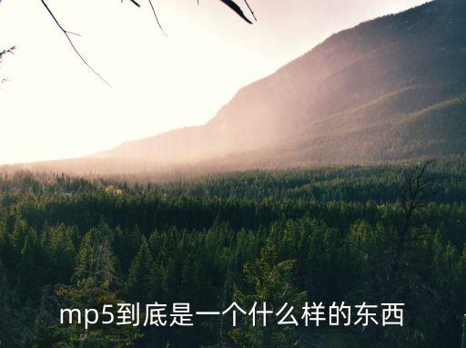 mp5到底是一個什么樣的東西
