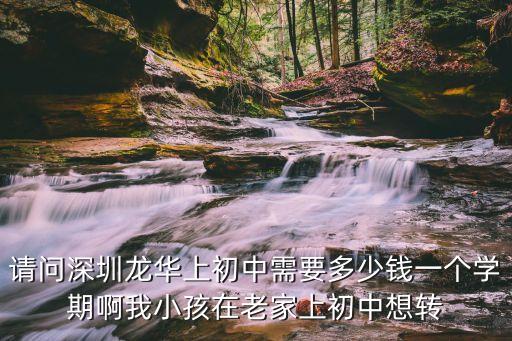 請(qǐng)問(wèn)深圳龍華上初中需要多少錢一個(gè)學(xué)期啊我小孩在老家上初中想轉(zhuǎn)