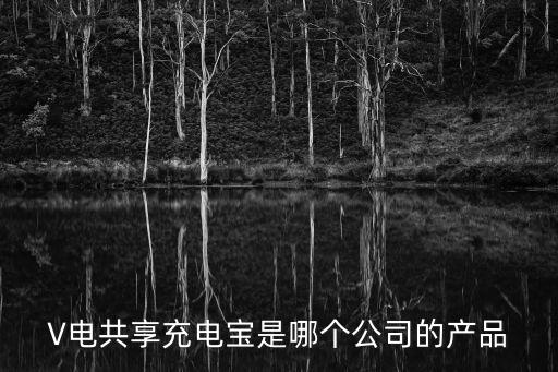 V電共享充電寶是哪個公司的產品