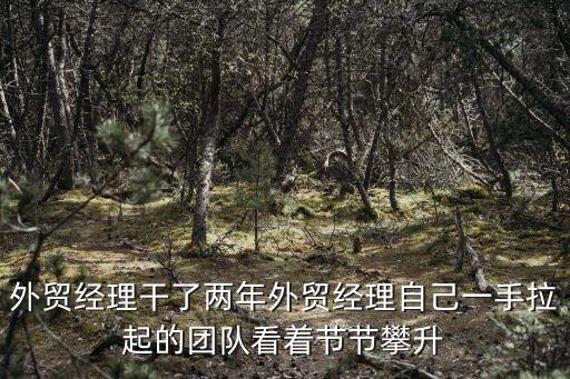 外貿經理干了兩年外貿經理自己一手拉起的團隊看著節節攀升