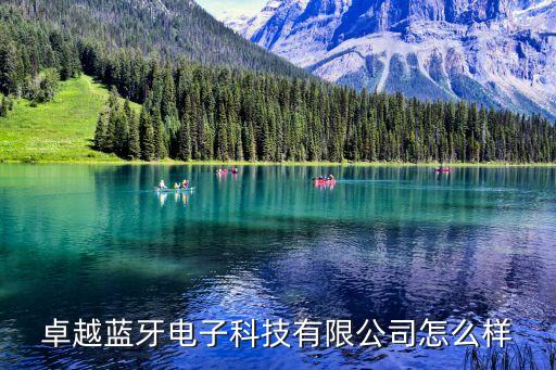 卓越藍牙電子科技有限公司怎么樣