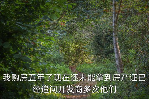 一男子在深圳買房5年后忘記，我的房子是買了五年了到現在才知道沒有征信那怎么辦