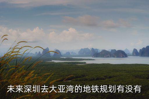 未來深圳去大亞灣的地鐵規劃有沒有