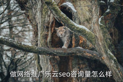 深圳關鍵詞推廣皆選樂云seo下拉招代理，做網絡推廣樂云seo咨詢量怎么樣