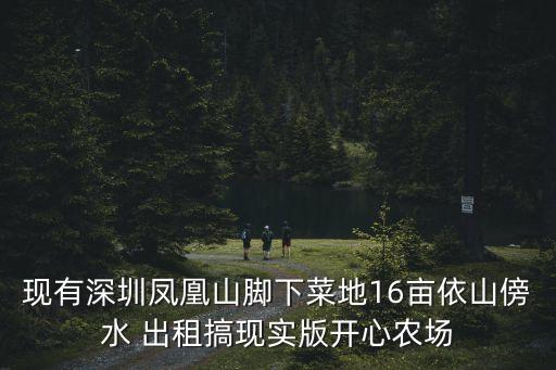 現(xiàn)有深圳鳳凰山腳下菜地16畝依山傍水 出租搞現(xiàn)實版開心農場