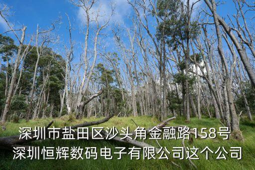 深圳市鹽田區(qū)沙頭角金融路158號(hào) 深圳恒輝數(shù)碼電子有限公司這個(gè)公司