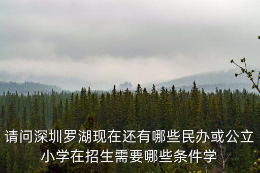 請問深圳羅湖現(xiàn)在還有哪些民辦或公立小學(xué)在招生需要哪些條件學(xué)