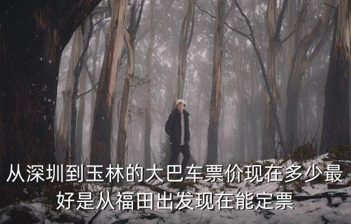 深圳到玉林豪華大巴，從深圳到玉林的大巴車票價現在多少最好是從福田出發現在能定票