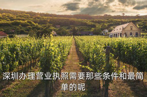 2020年深圳辦營業執照需要什么資料，在深圳辦理營業執照需要什么材料