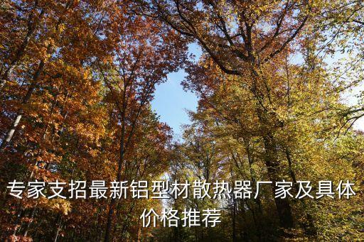 專家支招最新鋁型材散熱器廠家及具體價格推薦