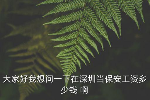 大家好我想問一下在深圳當保安工資多少錢 啊