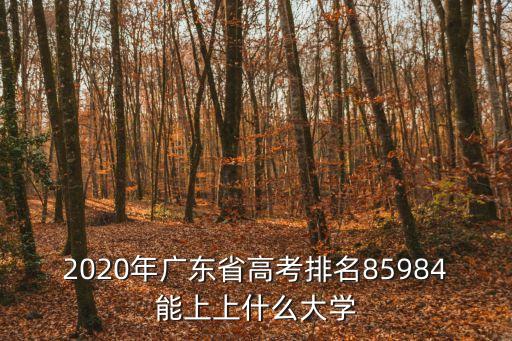 2020年廣東省高考排名85984能上上什么大學