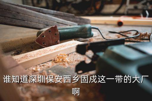 誰知道深圳保安西鄉固戍這一帶的大廠啊