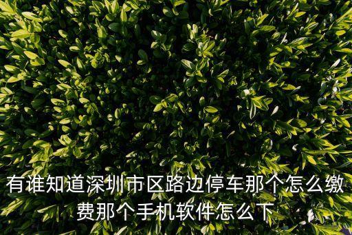 有誰知道深圳市區路邊停車那個怎么繳費那個手機軟件怎么下