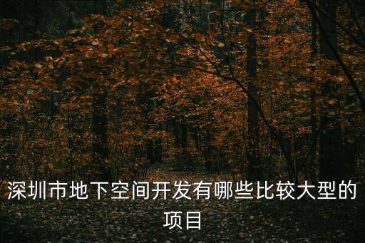 深圳市地下空間開發有哪些比較大型的項目