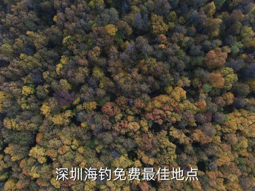 深圳海釣最佳地點2020，深圳哪里可以釣魚