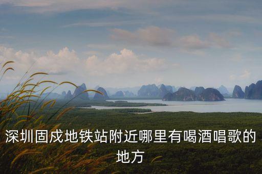 深圳固戍哪里有K歌沐足，深圳固戍地鐵站附近哪里有喝酒唱歌的地方