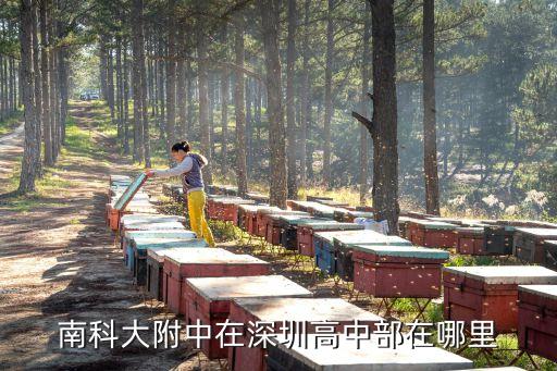 深圳市南科大附中校長，中學的校長是由誰任命誰管的同時是大學的附屬中學以及重點中學