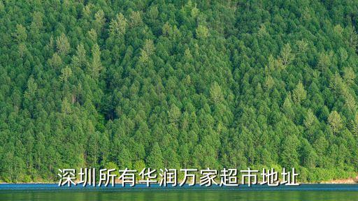華潤萬家在深圳的大商場，深圳最大的華潤萬家