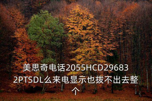深圳美思先端電話，美思奇電話2055HCD296832PTSDL么來電顯示也撥不出去整個