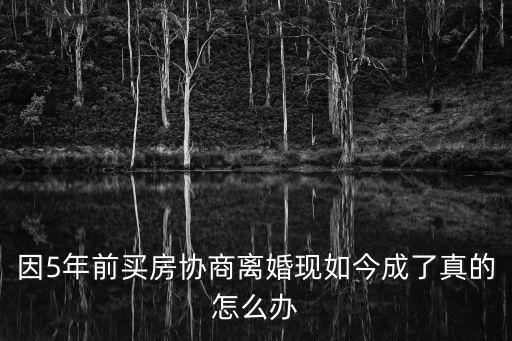 因5年前買房協商離婚現如今成了真的怎么辦