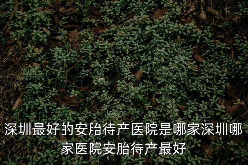 深圳最好的安胎待產醫院是哪家深圳哪家醫院安胎待產最好