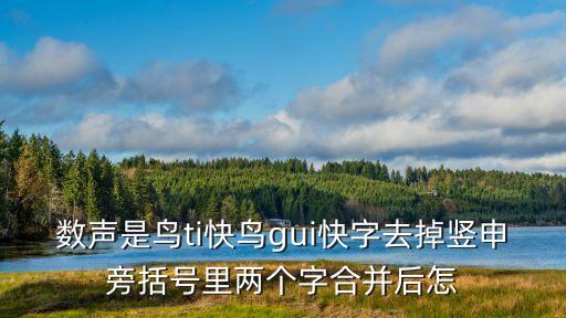 數聲是鳥ti快鳥gui快字去掉豎申旁括號里兩個字合并后怎